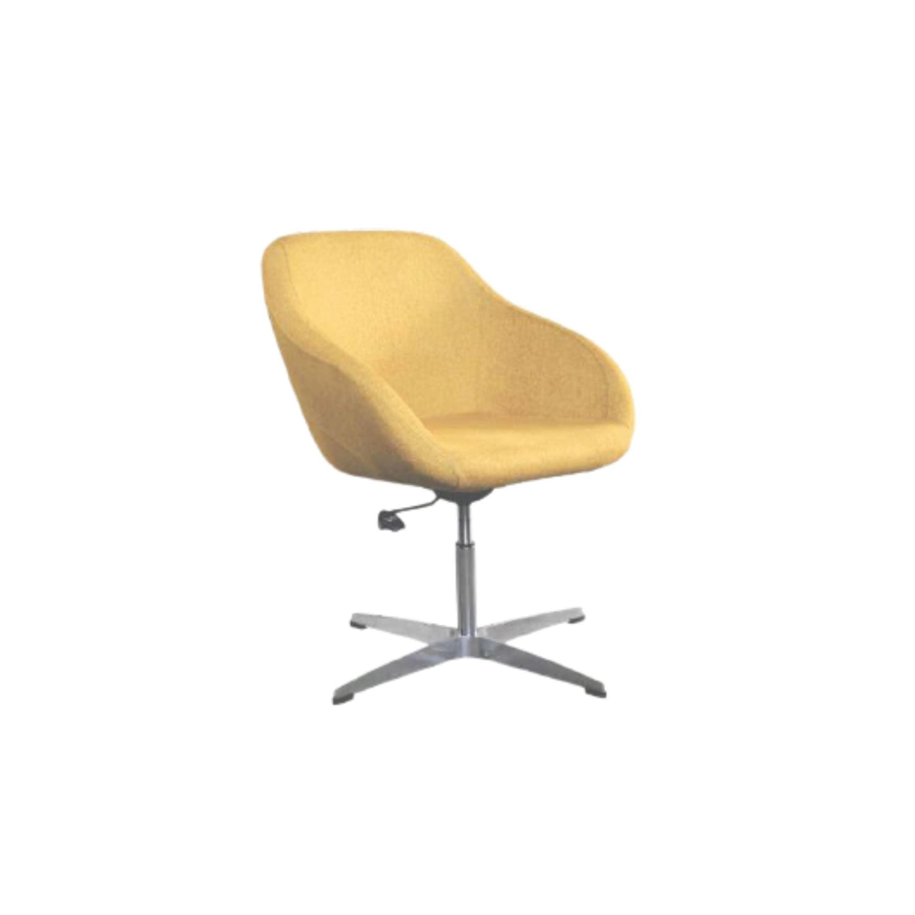 Alex Swivel