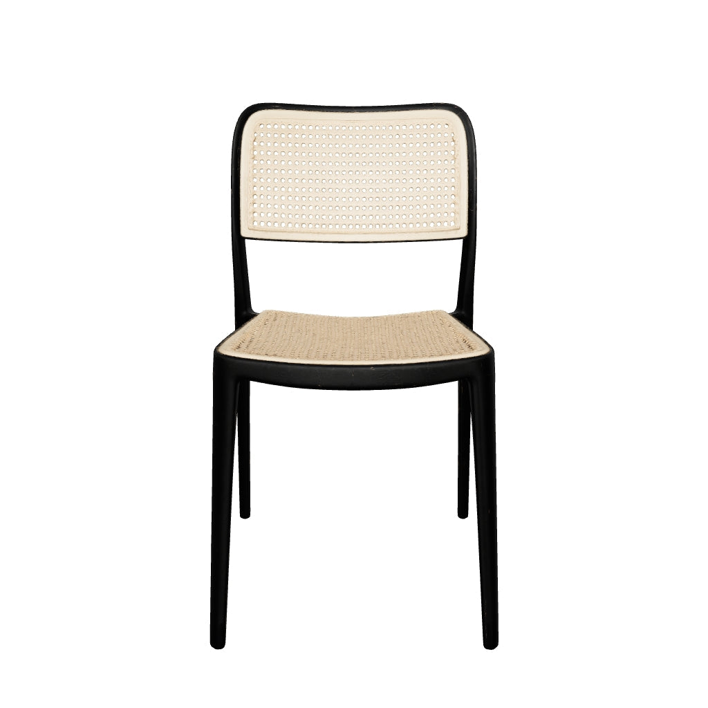 CANE W/O ARMS